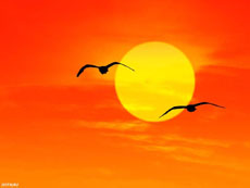 Природа