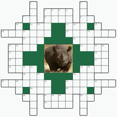 Решать онлайн Кроссворд №1: Носорог
