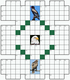 Кроссворд №139: ОРЕЛ
 Сетка кроссворда: 14х16
