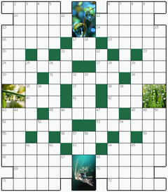 Кроссворд №197: РОСА
 Сетка кроссворда: 14х16
