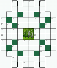 Распечатать бесплатно классический Кроссворд №116: РОЩА