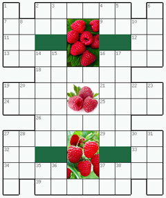 Распечатать бесплатно классический Кроссворд №127: МАЛИНА