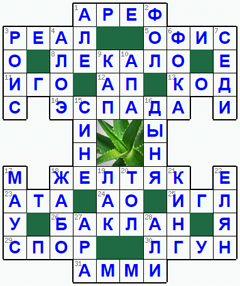 Ответы на классический онлайн Кроссворд №171: АЛОЭ