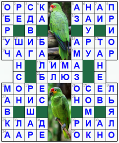 Ответы на классический онлайн Кроссворд №182: АМАЗОН