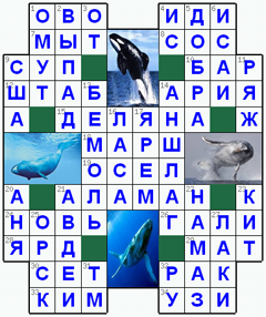 Ответы на классический онлайн Кроссворд №36: КИТ