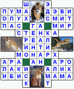 Ответы на классический онлайн Кроссворд №42: ПУМА