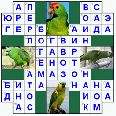 Ответы на классический онлайн Кроссворд №57: АМАЗОН