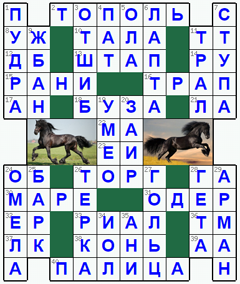 Ответы на классический онлайн Кроссворд №99: КОНЬ