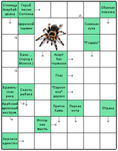 Скандинавский сканворд №13: ПАУК
