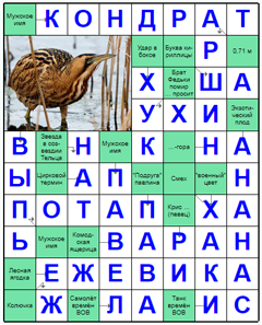 Ответы на скандинавский онлайн Сканворд №186: ЕЖЕВИКА