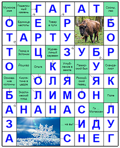 Ответы на скандинавский онлайн Сканворд №88: ЛИМОН