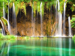 Пазлы онлайн. Картинка №317: Лесной водопад
 Размер картинки: 640х480
