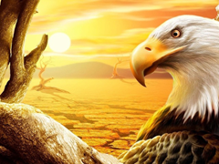 Пазлы онлайн. Картинка №679: Пустынный орел
 Размер картинки: 640х480
