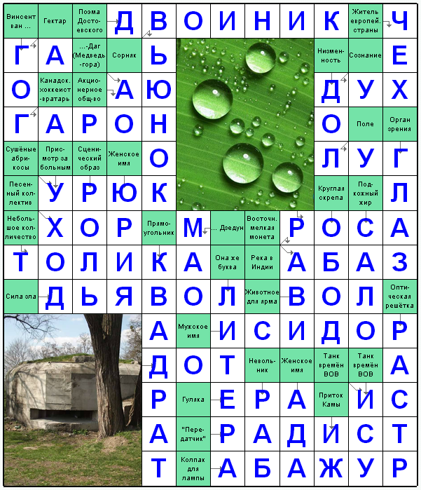 Ответы на скандинавский онлайн Сканворд №143: КВАДРАТ