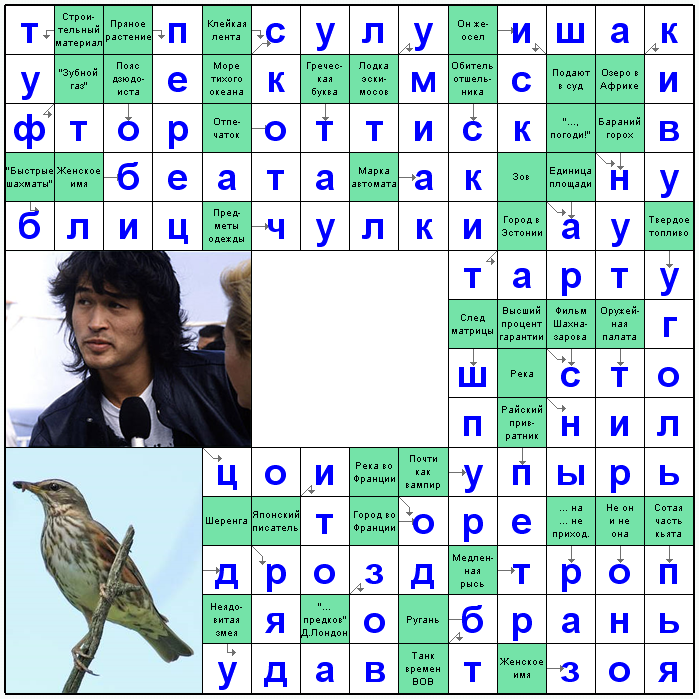 Ответы на скандинавский онлайн Сканворд №46: Блиц