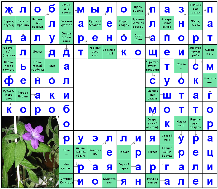 Ответы на скандинавский онлайн Сканворд №49: Плащ